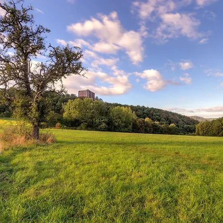 A701 By Interhome Apartment Lahnstein