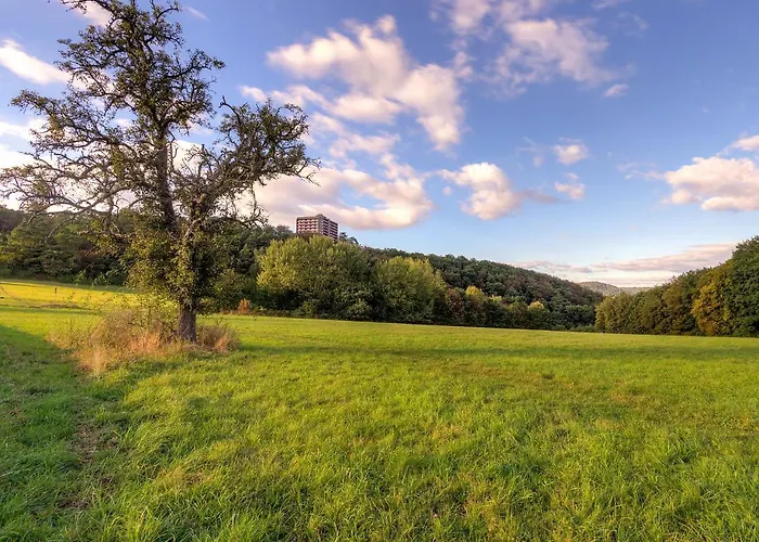 Hortensie - A701 By Interhome Apartamento Lahnstein